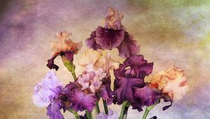 Preview wallpaper irises, bouquet, background