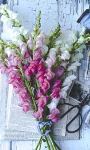 Preview wallpaper irises, flowers, bouquet, aesthetics