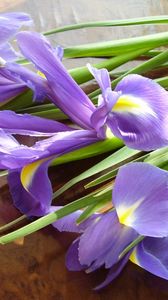Preview wallpaper irises, flowers, bouquet, lies, shade