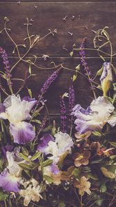 Preview wallpaper irises, flowers, petals, purple
