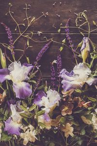 Preview wallpaper irises, flowers, petals, purple