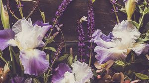 Preview wallpaper irises, flowers, petals, purple