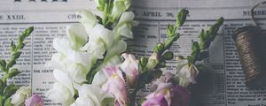 Preview wallpaper irises, flowers, petals, composition, aesthetics
