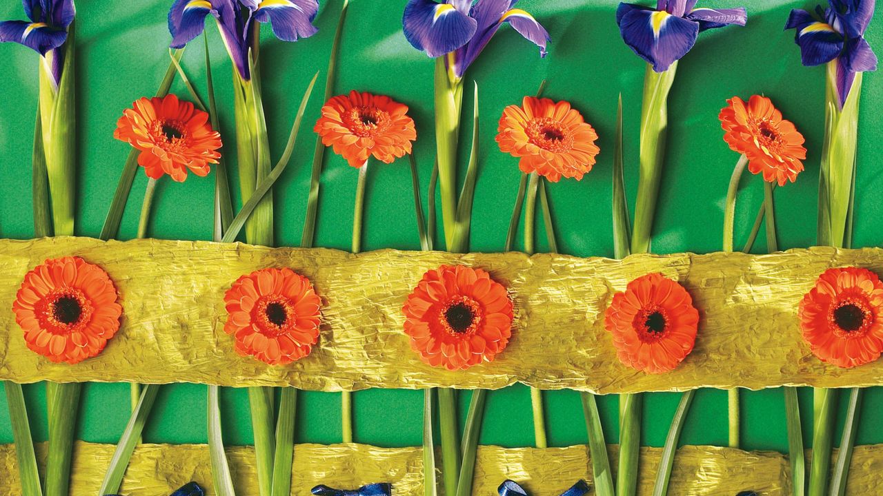 Wallpaper irises, gerbera, flower, wall, decoration, bows