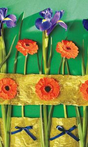 Preview wallpaper irises, gerbera, flower, wall, decoration, bows