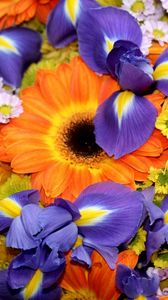 Preview wallpaper irises, gerberas, chrysanthemums, flowers, bouquet, bright