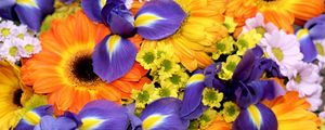 Preview wallpaper irises, gerberas, chrysanthemums, flowers, bouquet, bright