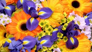 Preview wallpaper irises, gerberas, chrysanthemums, flowers, bouquet, bright