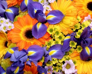 Preview wallpaper irises, gerberas, chrysanthemums, flowers, bouquet, bright