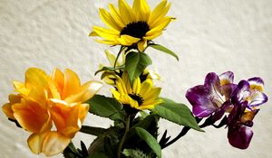 Preview wallpaper irises, sunflowers, flowers, bouquet