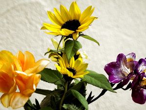 Preview wallpaper irises, sunflowers, flowers, bouquet