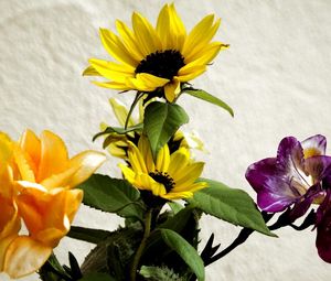 Preview wallpaper irises, sunflowers, flowers, bouquet