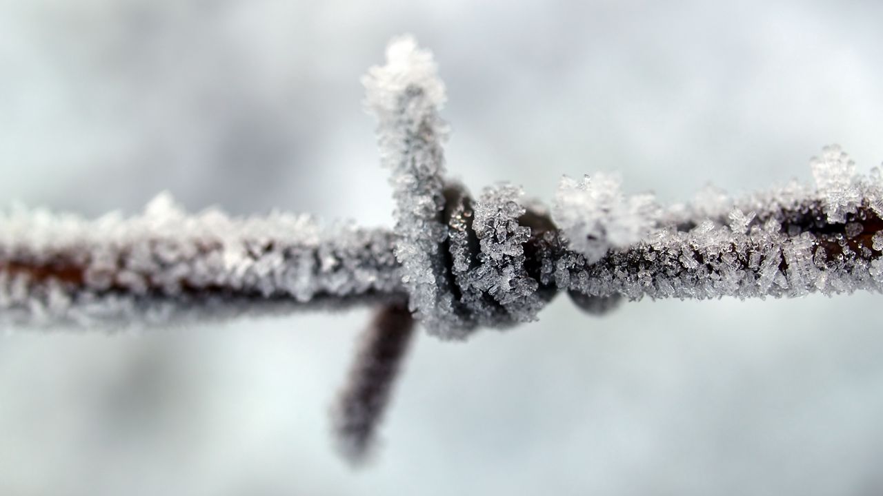 Wallpaper iron, wire, snowy, snow