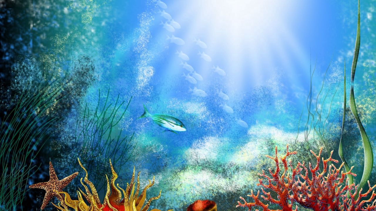 Wallpaper ish, under water, algas, vegetation, light