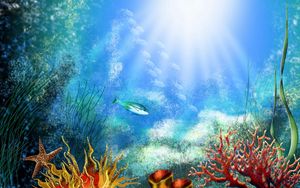 Preview wallpaper ish, under water, algas, vegetation, light