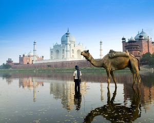Preview wallpaper islam, architecture, camel, street