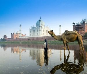 Preview wallpaper islam, architecture, camel, street