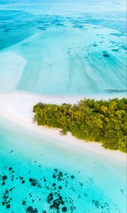 Preview wallpaper island, aerial view, ocean, tropics, palm trees, beach