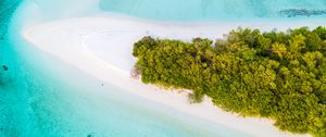 Preview wallpaper island, aerial view, ocean, tropics, palm trees, beach