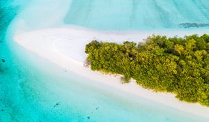 Preview wallpaper island, aerial view, ocean, tropics, palm trees, beach