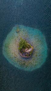 Preview wallpaper island, aerial view, sea, trees