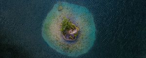 Preview wallpaper island, aerial view, sea, trees