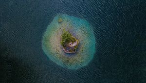 Preview wallpaper island, aerial view, sea, trees