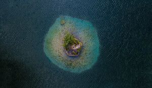 Preview wallpaper island, aerial view, sea, trees