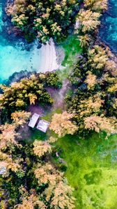 Preview wallpaper island, aerial view, trees, waves, coast