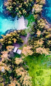 Preview wallpaper island, aerial view, trees, waves, coast