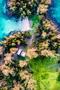 Preview wallpaper island, aerial view, trees, waves, coast