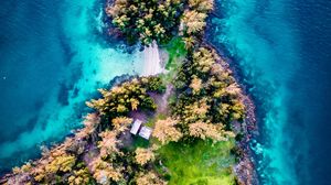 Preview wallpaper island, aerial view, trees, waves, coast