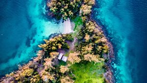 Preview wallpaper island, aerial view, trees, waves, coast