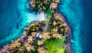 Preview wallpaper island, aerial view, trees, waves, coast