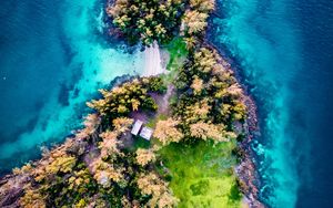 Preview wallpaper island, aerial view, trees, waves, coast