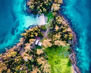 Preview wallpaper island, aerial view, trees, waves, coast