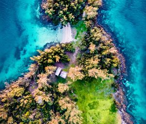 Preview wallpaper island, aerial view, trees, waves, coast