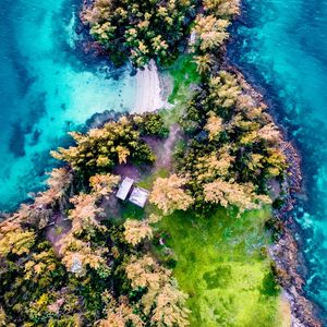 Preview wallpaper island, aerial view, trees, waves, coast