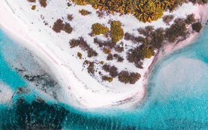 Preview wallpaper island, beach, aerial view, sea, bay