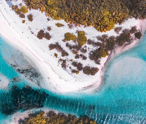 Preview wallpaper island, beach, aerial view, sea, bay