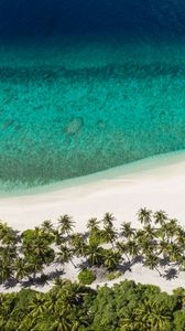 Preview wallpaper island, beach, ocean, aerial view, palm trees