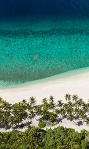 Preview wallpaper island, beach, ocean, aerial view, palm trees