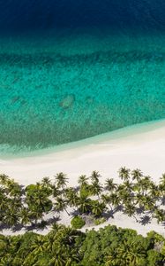 Preview wallpaper island, beach, ocean, aerial view, palm trees