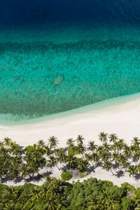 Preview wallpaper island, beach, ocean, aerial view, palm trees