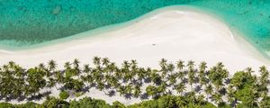 Preview wallpaper island, beach, ocean, aerial view, palm trees