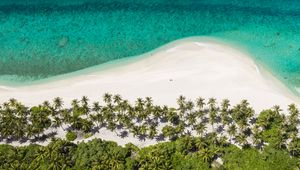 Preview wallpaper island, beach, ocean, aerial view, palm trees