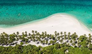 Preview wallpaper island, beach, ocean, aerial view, palm trees