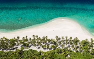 Preview wallpaper island, beach, ocean, aerial view, palm trees