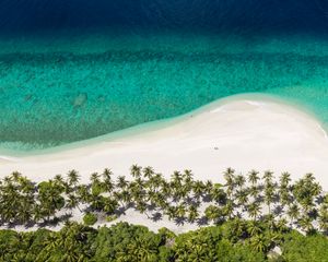 Preview wallpaper island, beach, ocean, aerial view, palm trees