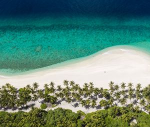 Preview wallpaper island, beach, ocean, aerial view, palm trees